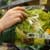 Changing Your Relationship with Food